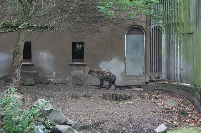 blijdorp 10-09 and extra 048 800x533
