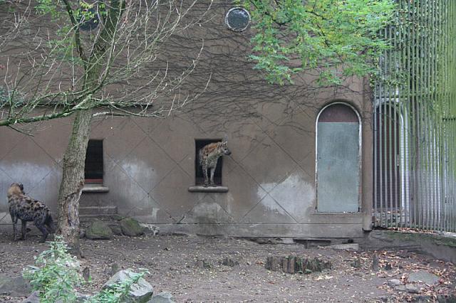 blijdorp 10-09 and extra 050 800x533