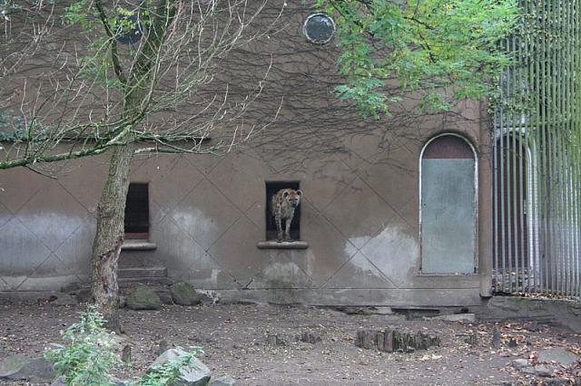 blijdorp 10-09 and extra 053 800x533
