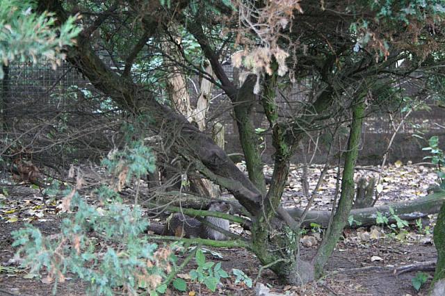 blijdorp 10-09 and extra 058 800x533