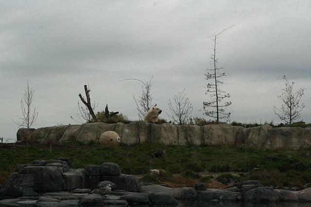 blijdorp 10-09 and extra 100 800x533