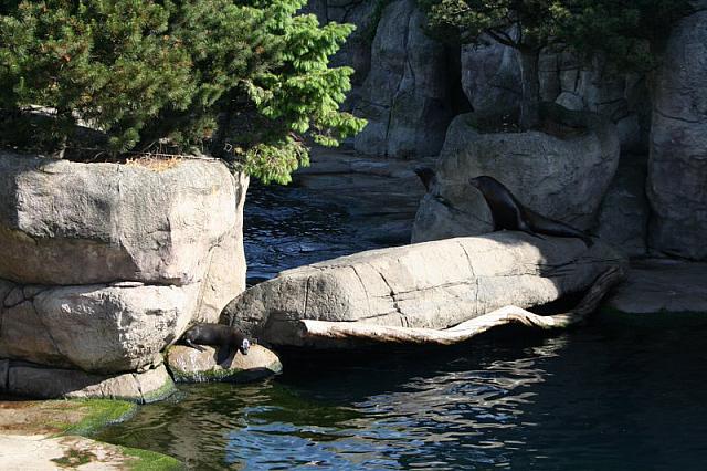 Blijdorp 001 800x533