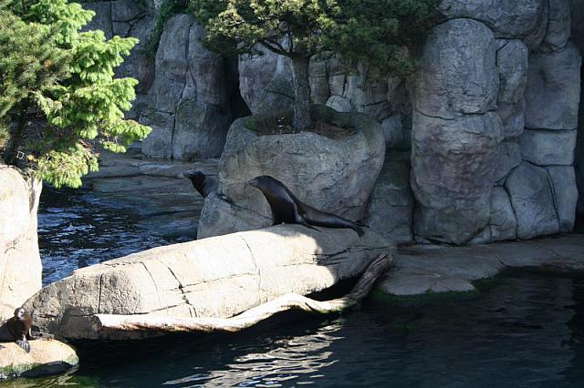 Blijdorp 003 800x533