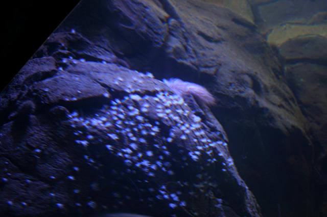 Blijdorp 015 800x533
