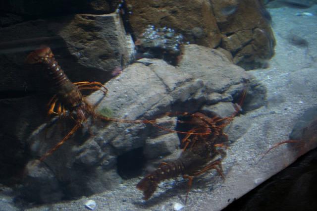 Blijdorp 022 800x533