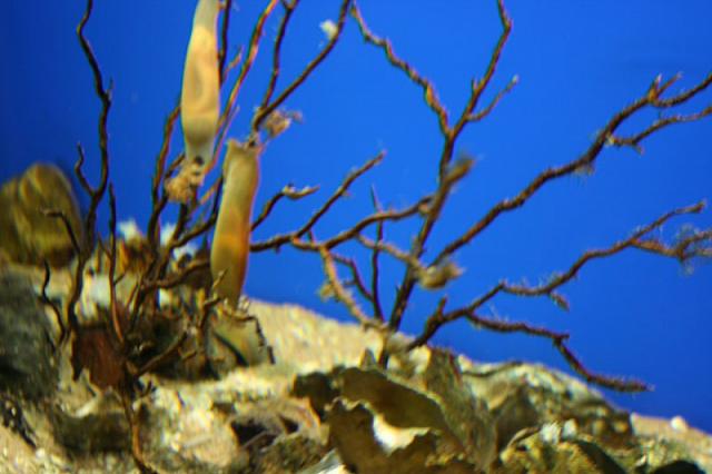 Blijdorp 040 800x533
