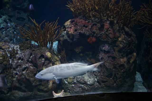 Blijdorp 046 800x533