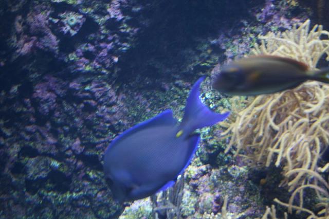 Blijdorp 051 800x533