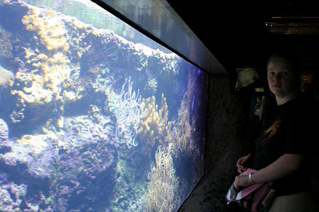 Blijdorp 052 800x533