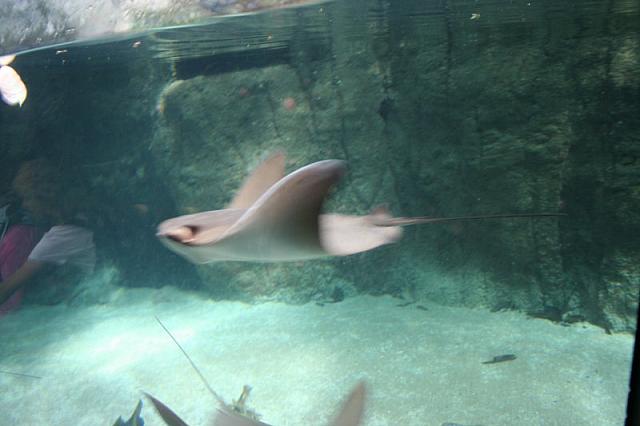 Blijdorp 054 800x533