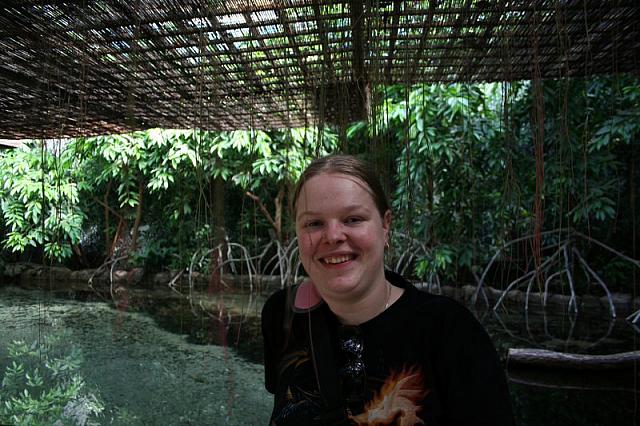 Blijdorp 060 800x533