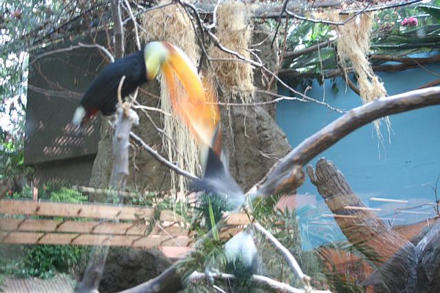 Blijdorp 062 800x533