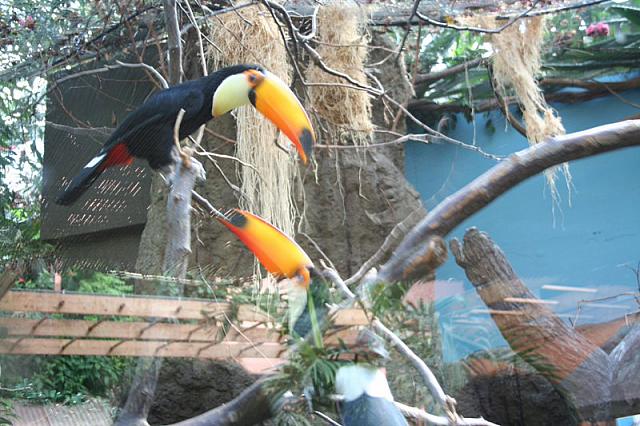 Blijdorp 063 800x533