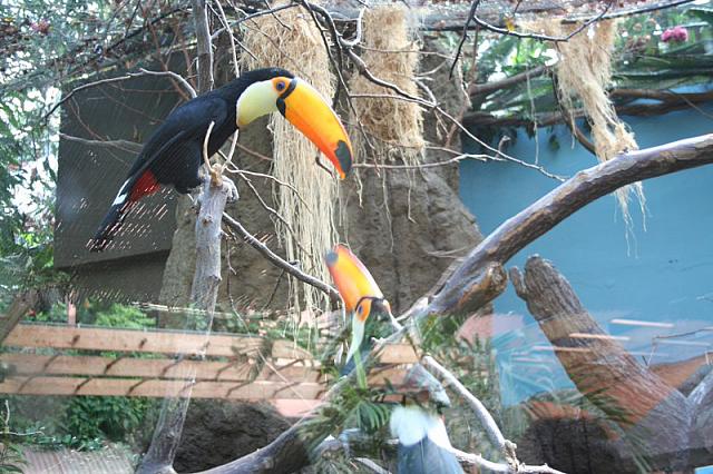 Blijdorp 064 800x533