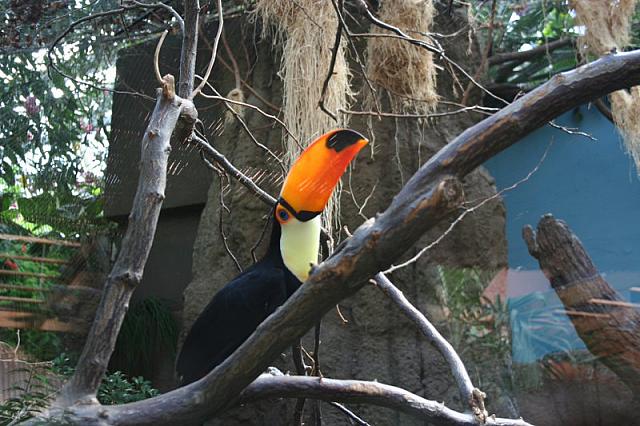 Blijdorp 065 800x533