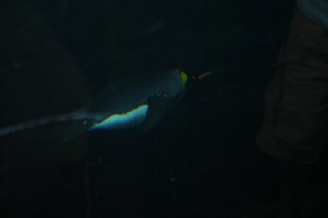 Blijdorp 082 800x533