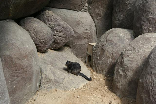 Blijdorp 086 800x533