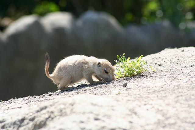 Blijdorp 139 800x533