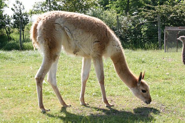 Blijdorp 157 800x533
