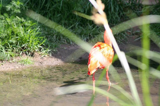 Blijdorp 167 800x533