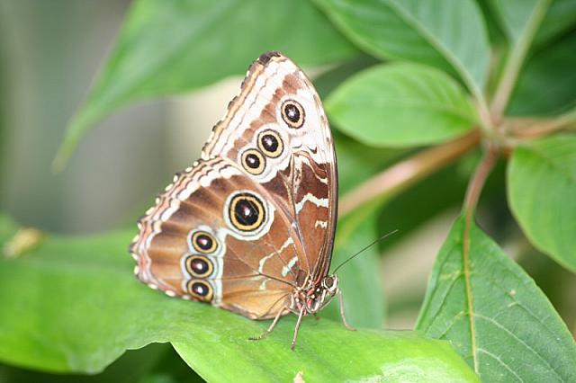 Blijdorp 326 800x533