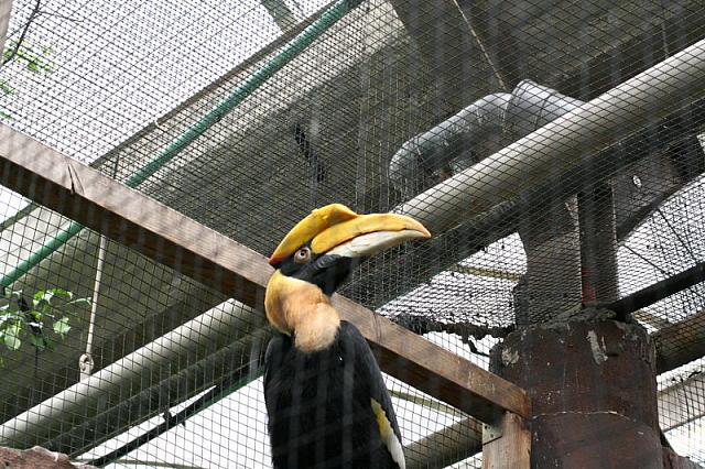 Blijdorp 373 800x533