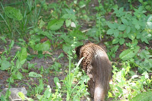 Blijdorp 400 800x533