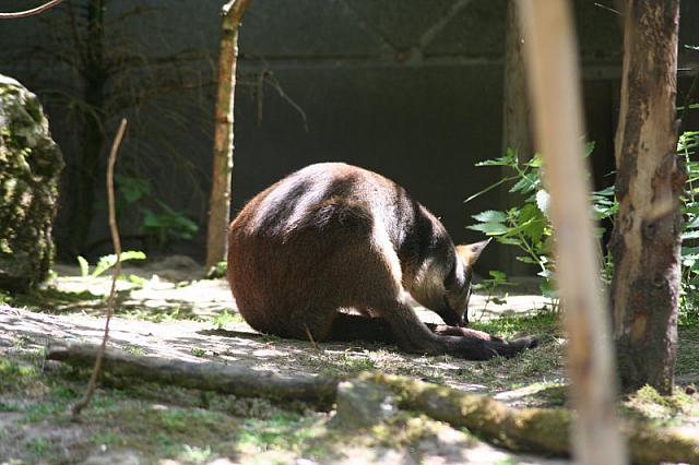 Blijdorp 402 800x533