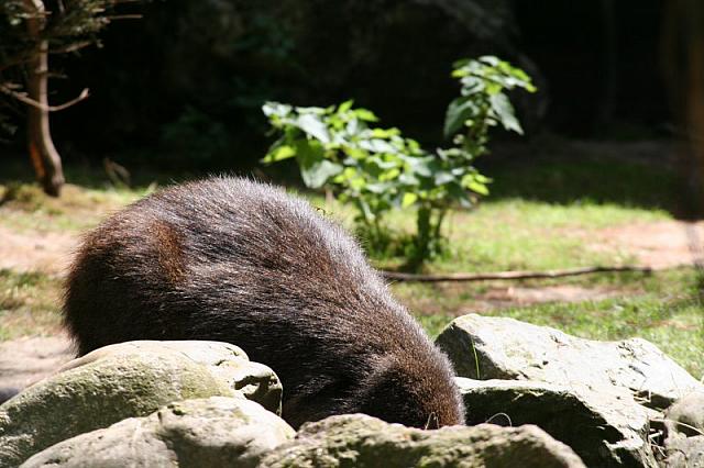 Blijdorp 403 800x533