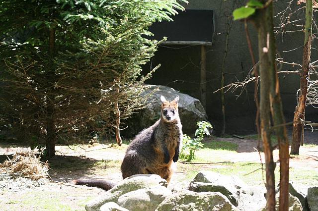 Blijdorp 405 800x533