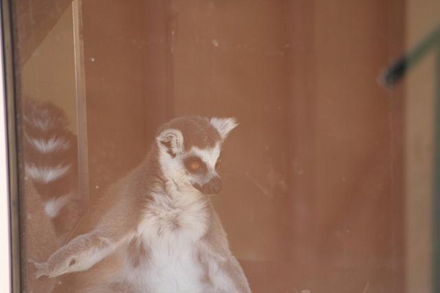 Blijdorp 446 800x533