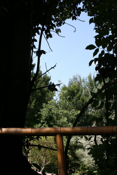 Blijdorp 511 400x600