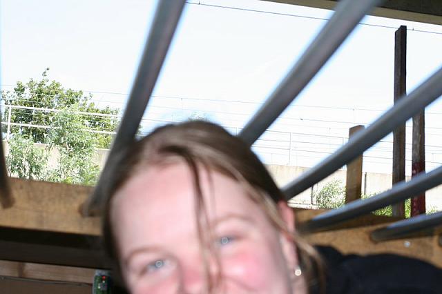 Blijdorp 554 800x533