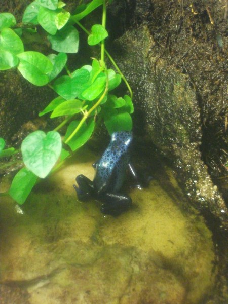 DSCF1558 450x600