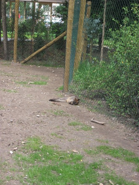 DSCF1618 450x600