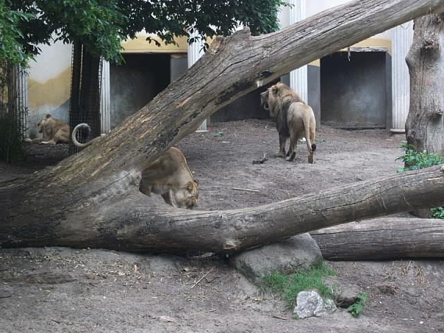 DSCF1623 800x600