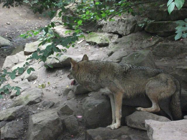 DSCF1630 800x600