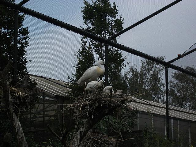 DSCF1638 800x600