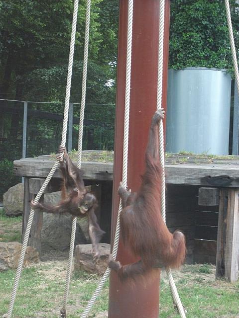 20110613 126 800x600