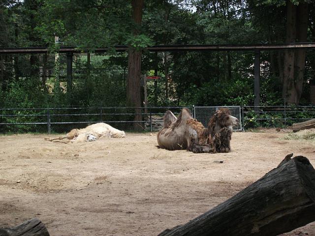 20110613 130 800x600