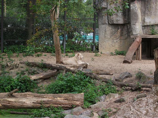 20110613 22 800x600