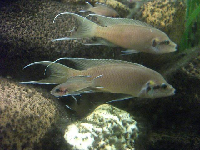 20110613 61 800x600