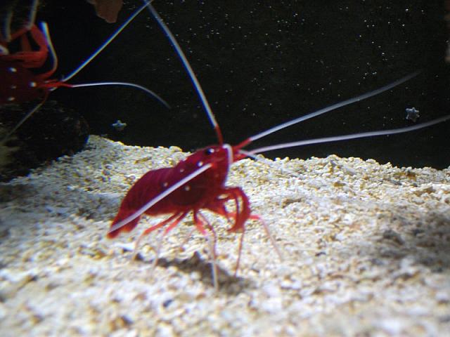 20110613 70 800x600