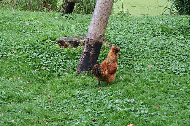 IMG 0260 800x533