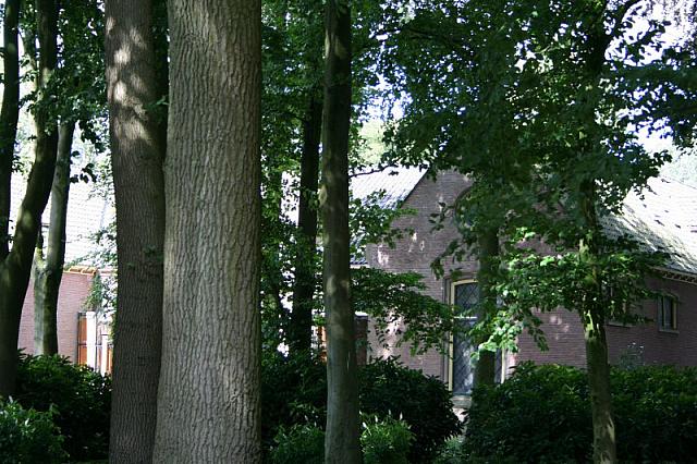 IMG 0280 800x533