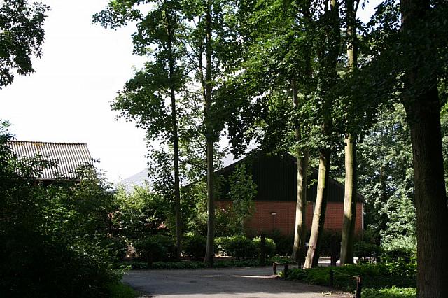 IMG 0282 800x533