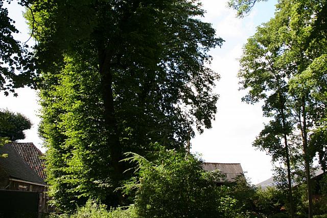 IMG 0283 800x533