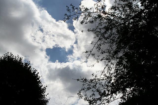 IMG 0285 800x533