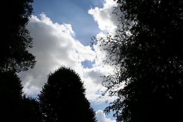 IMG 0286 800x533