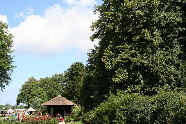 IMG 0302 800x533